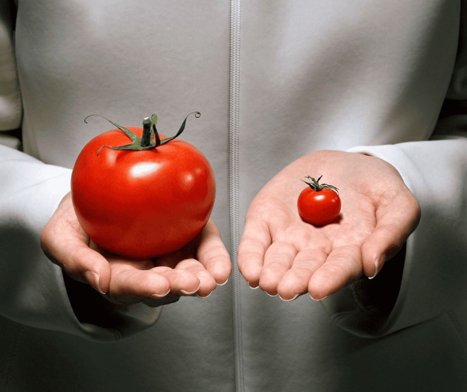 A person holding a large tomato in one hand and a small tomato in the other, illustrating how small decisions can quietly shape bigger outcomes.