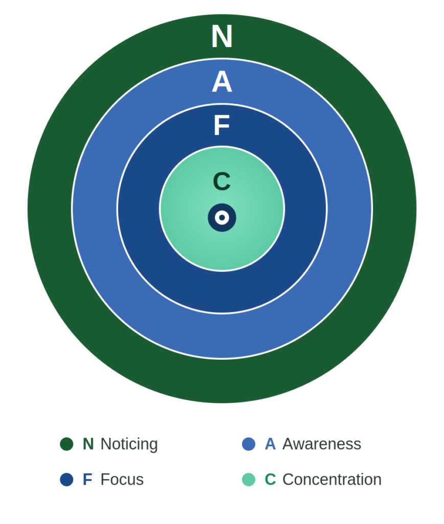A target-style diagram of four nested rings — noticing on the outer edge, then awareness, then focus, with concentration at the center bullseye — illustrating the four spheres of attention from Mike Vardy's framework.